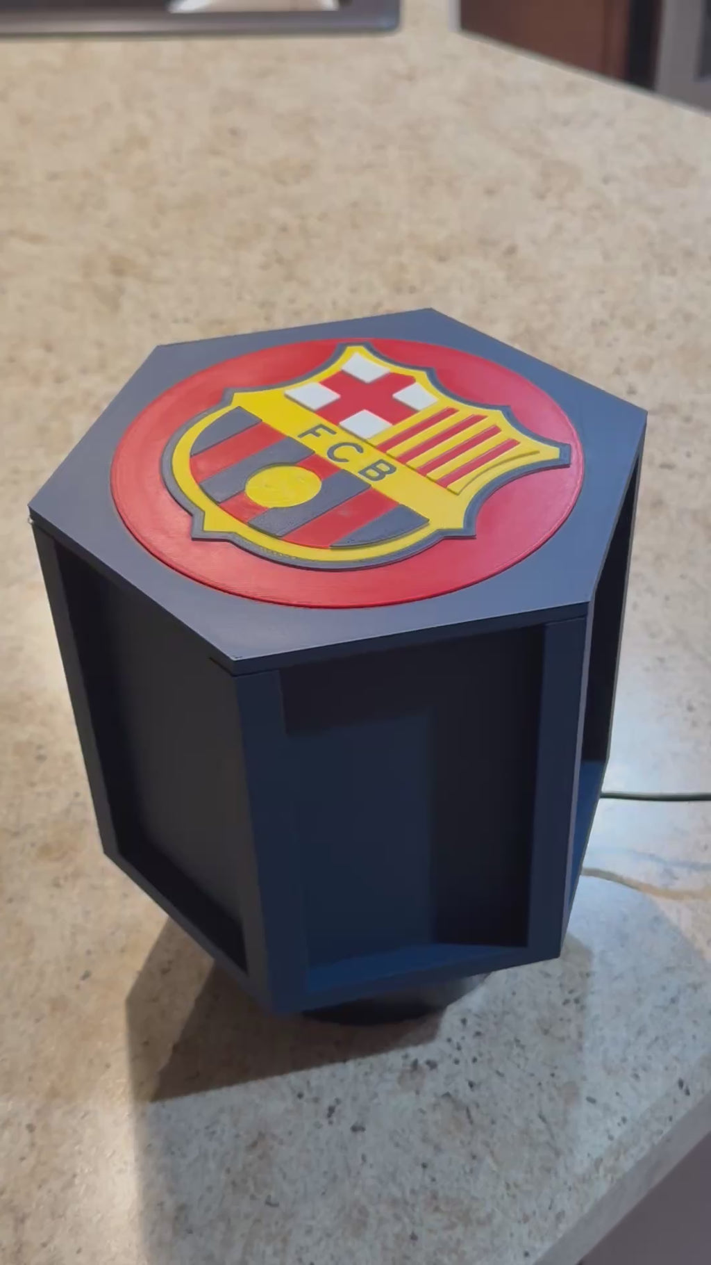 Spinning display motor