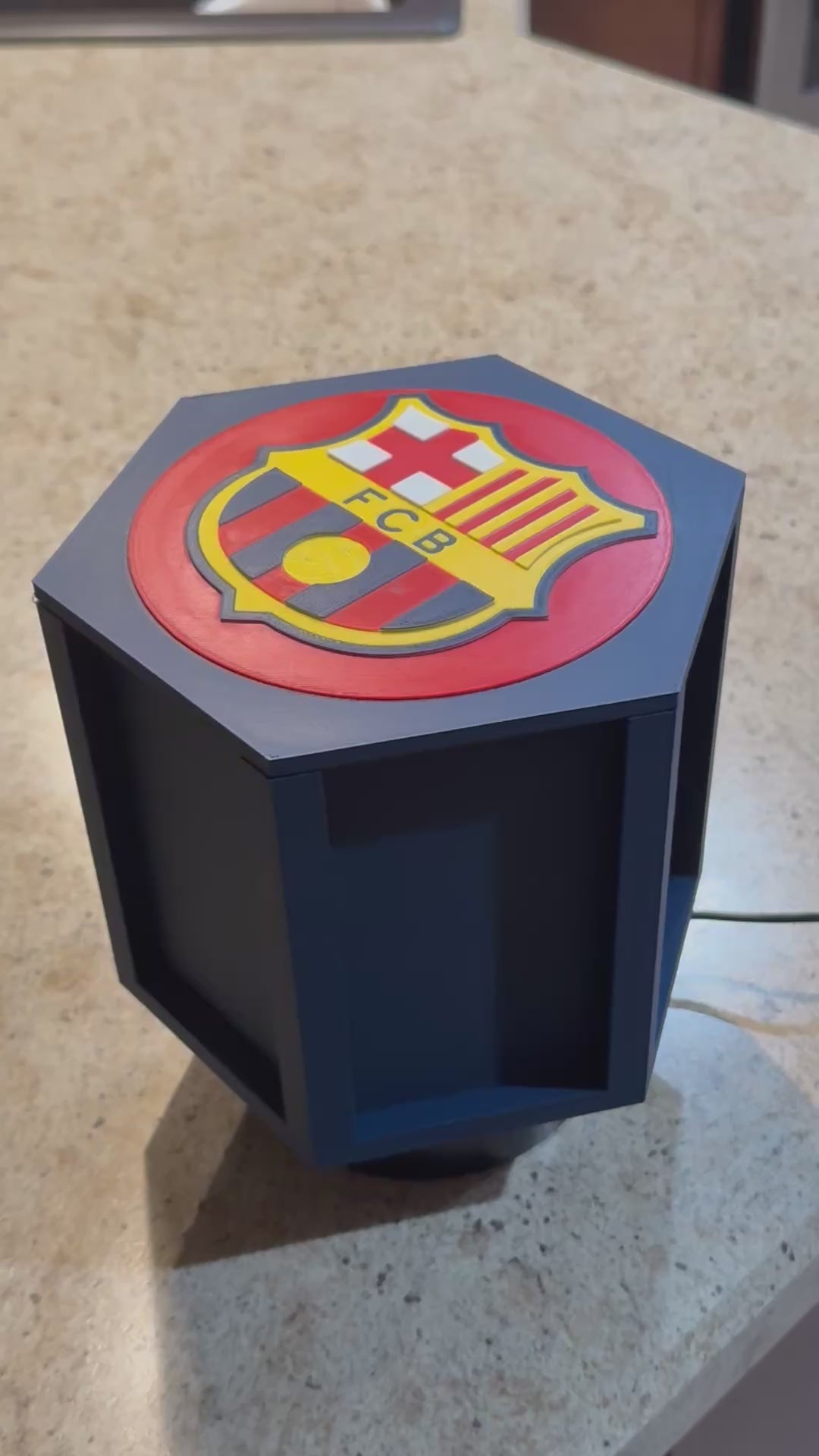 Spinning display motor